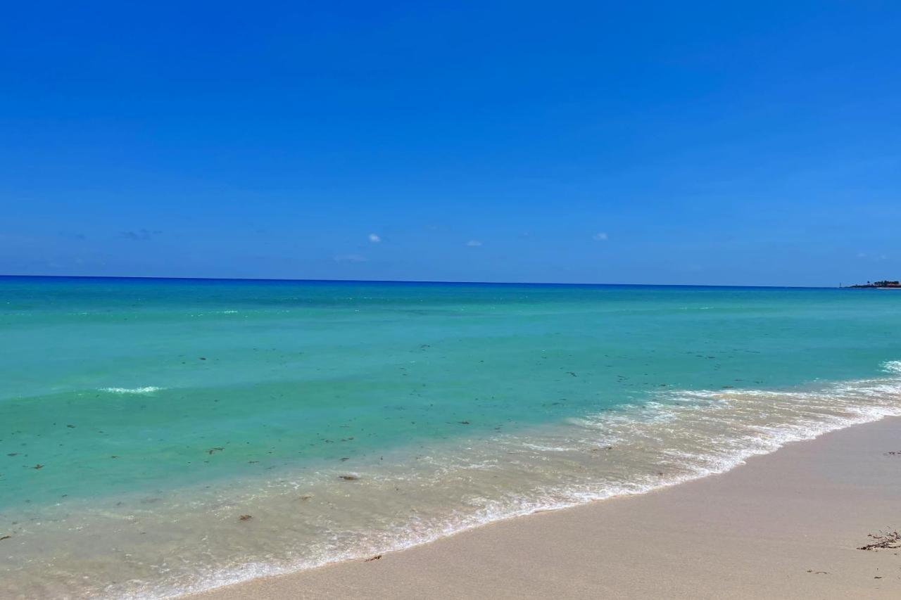 Renovated Studio In Cancun Beach At The Hotel Zone 外观 照片