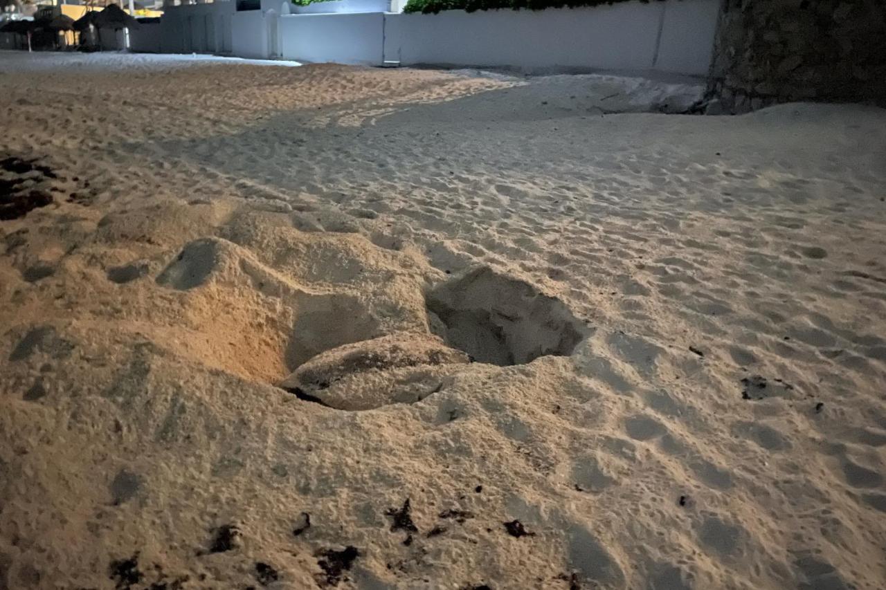 Renovated Studio In Cancun Beach At The Hotel Zone 外观 照片